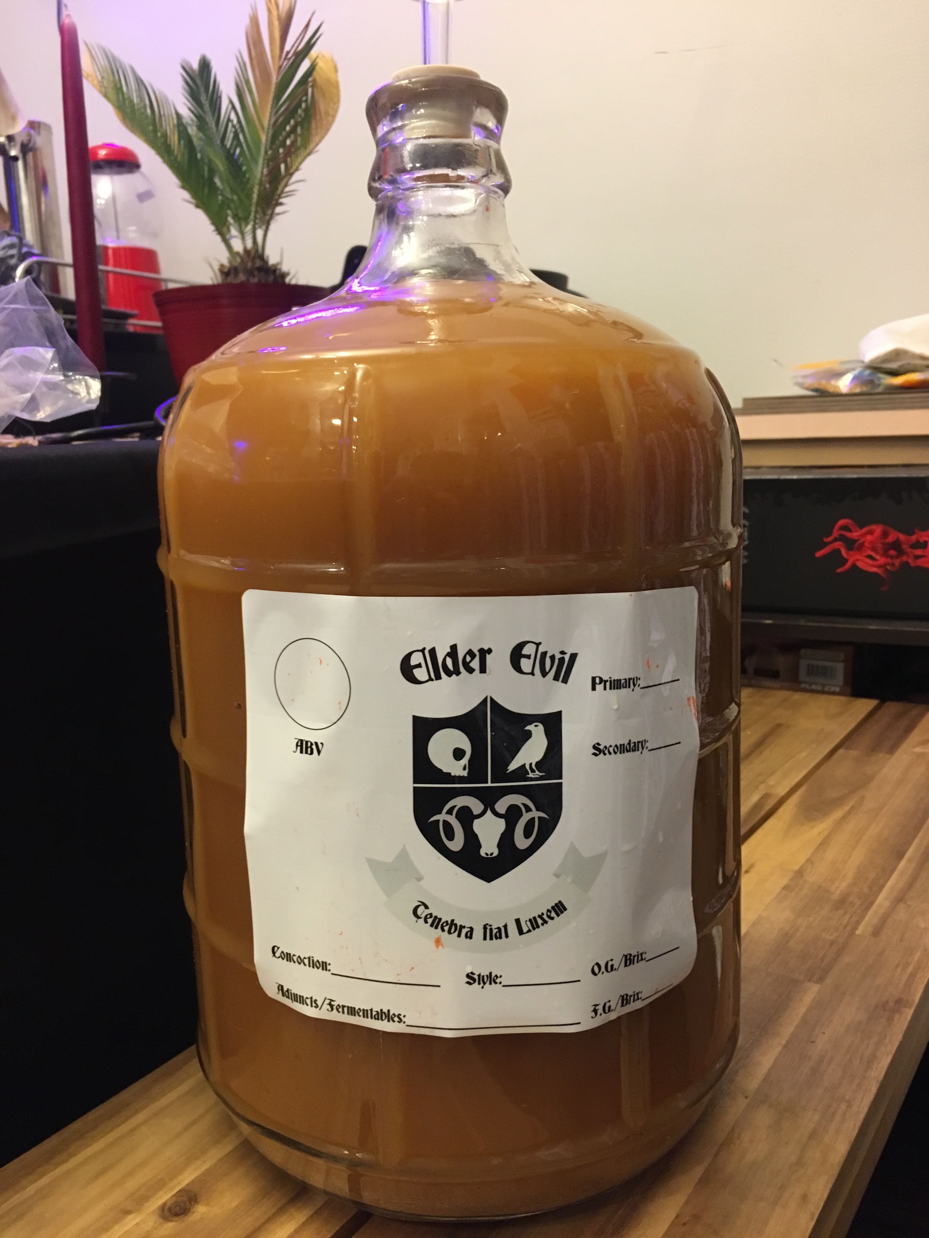Apple Cider